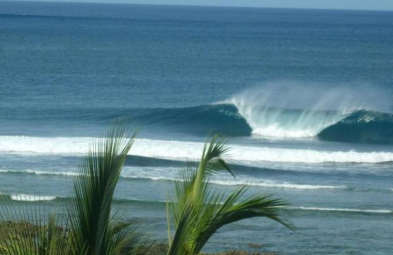 Ocean 101 Beach Resort General Luna  Eksteriør bilde